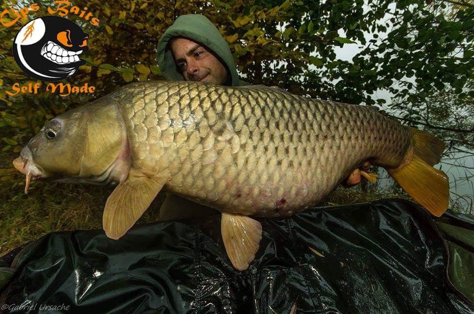 Carpfishing la modul meu 2015 - 1199058510517189081856384628002984387266657n.jpg